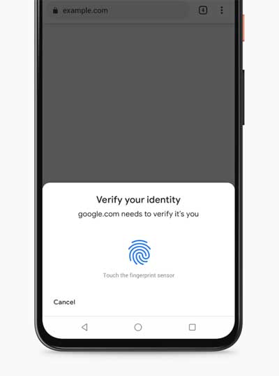 Chrome Autofill 生物認證確認信用咭