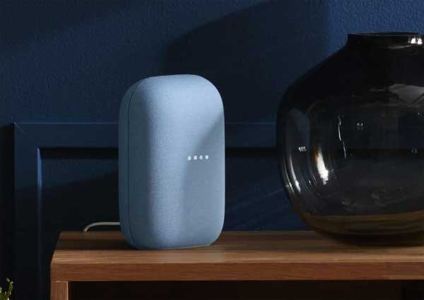 Google Nest Speaker 