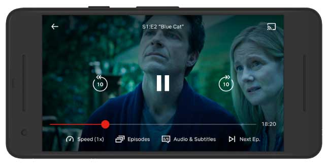 Netflix Playback 