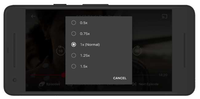 Netflix Speed Control