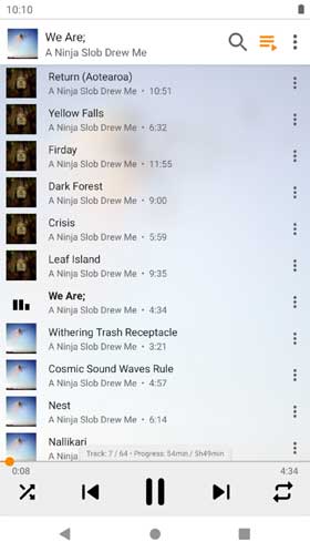 VLC Play Queue