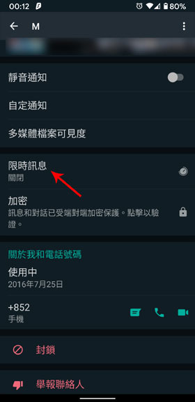 WhatsApp Settings 限時訊息