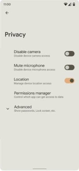 Android 12 Mockup Privacy Settings