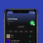 Spotify Liked Song Filter