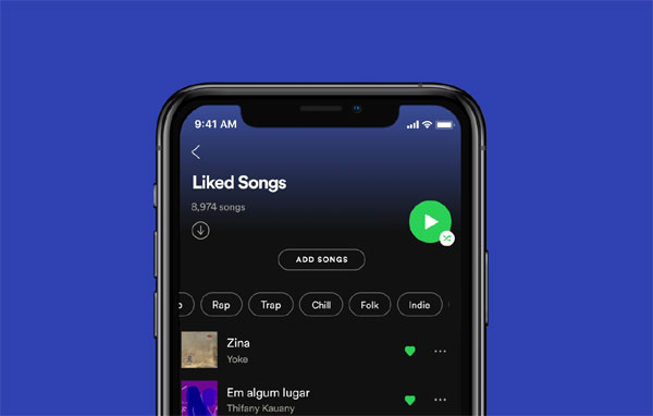 Spotify Liked Song Filter