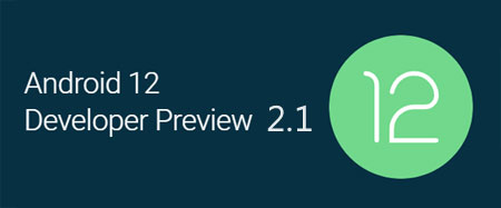 Android 12 Developer Preview 2.1
