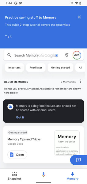 Google Assistant Memory