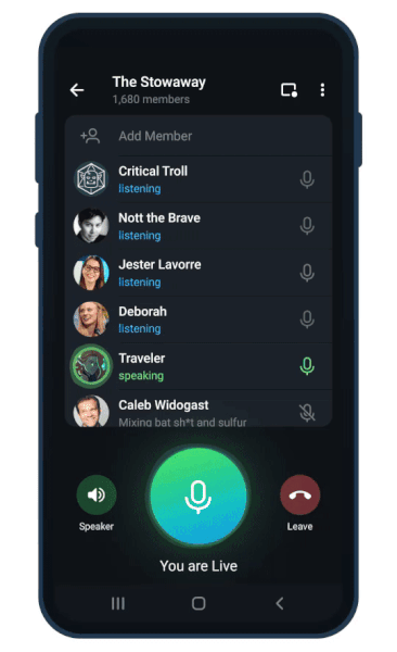 Telegram Voice Chat Record Audio
