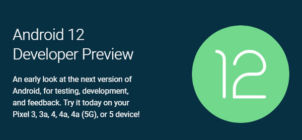 Android 12 Developer Preview