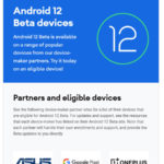 Android 12 Beta Partner