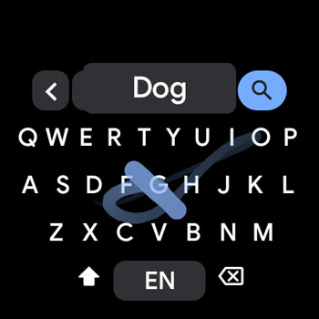 Gboard App Wear OS Swipe