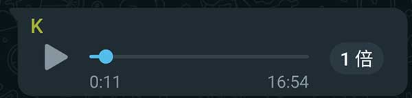 WhatsApp Voice Messages