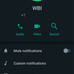 WhatsApp Beta 增設搜尋訊息功能