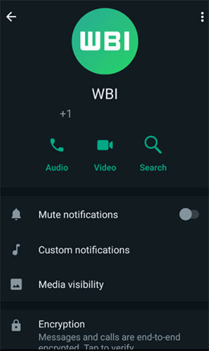 WhatsApp Beta 增设搜寻讯息功能